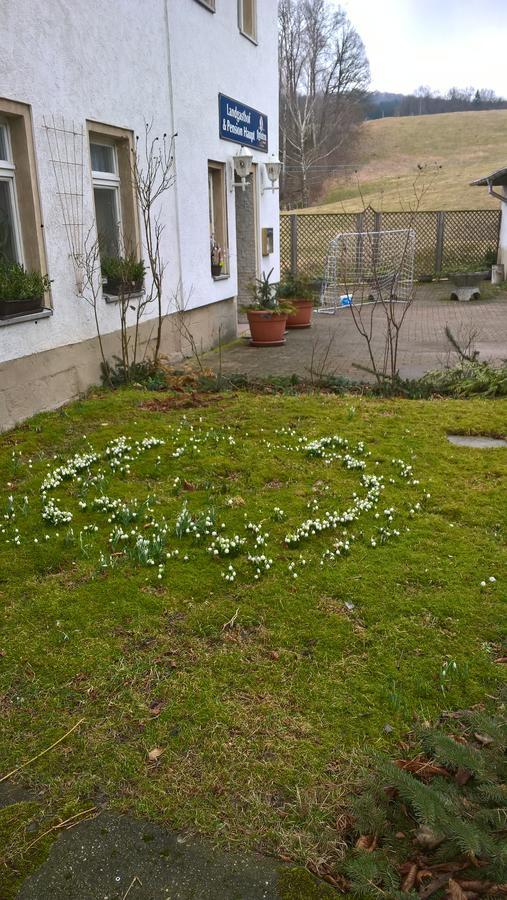 Landpension Haupt Sebnitz Exterior foto